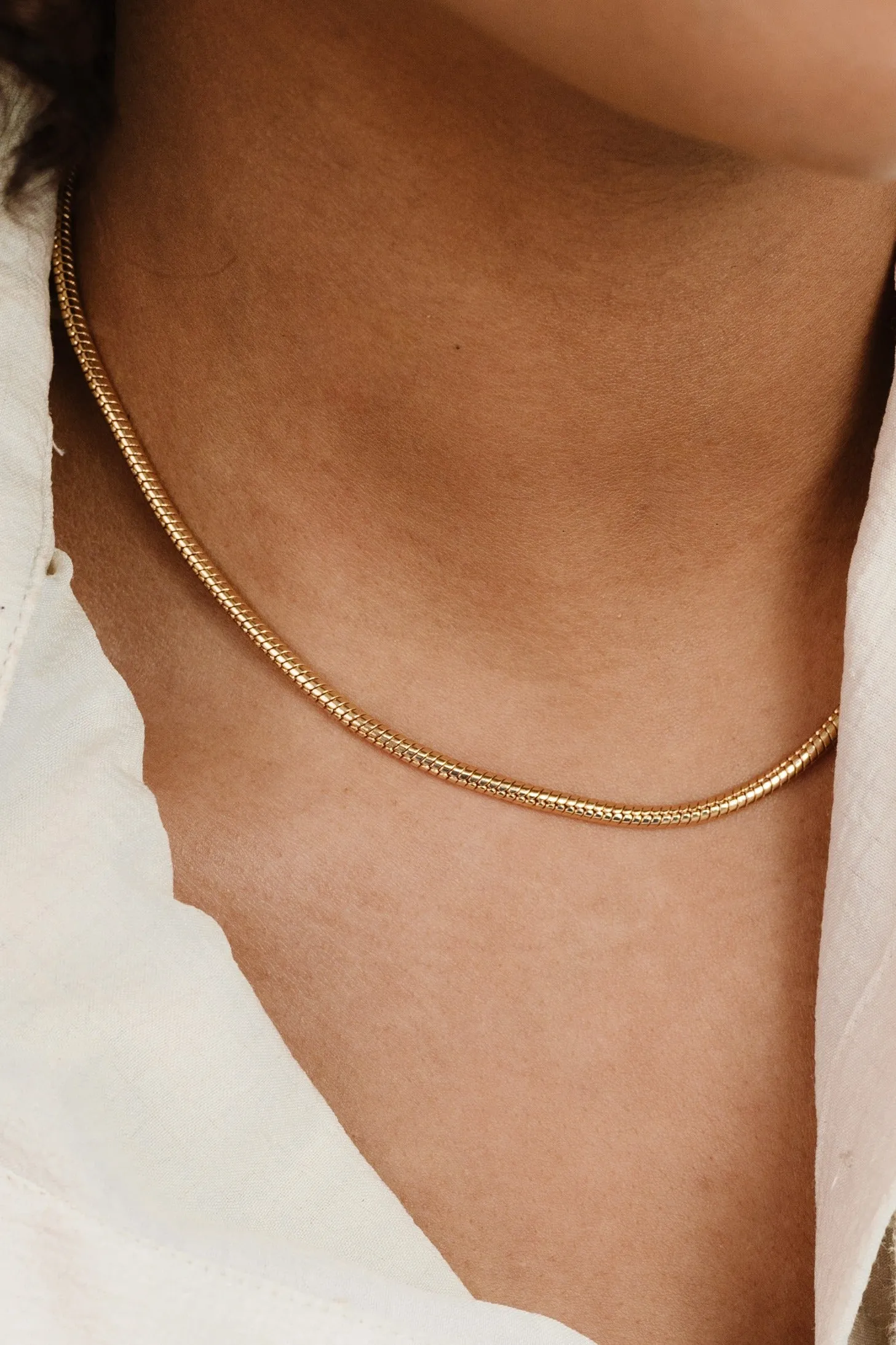 Classic Snake Chain Necklace