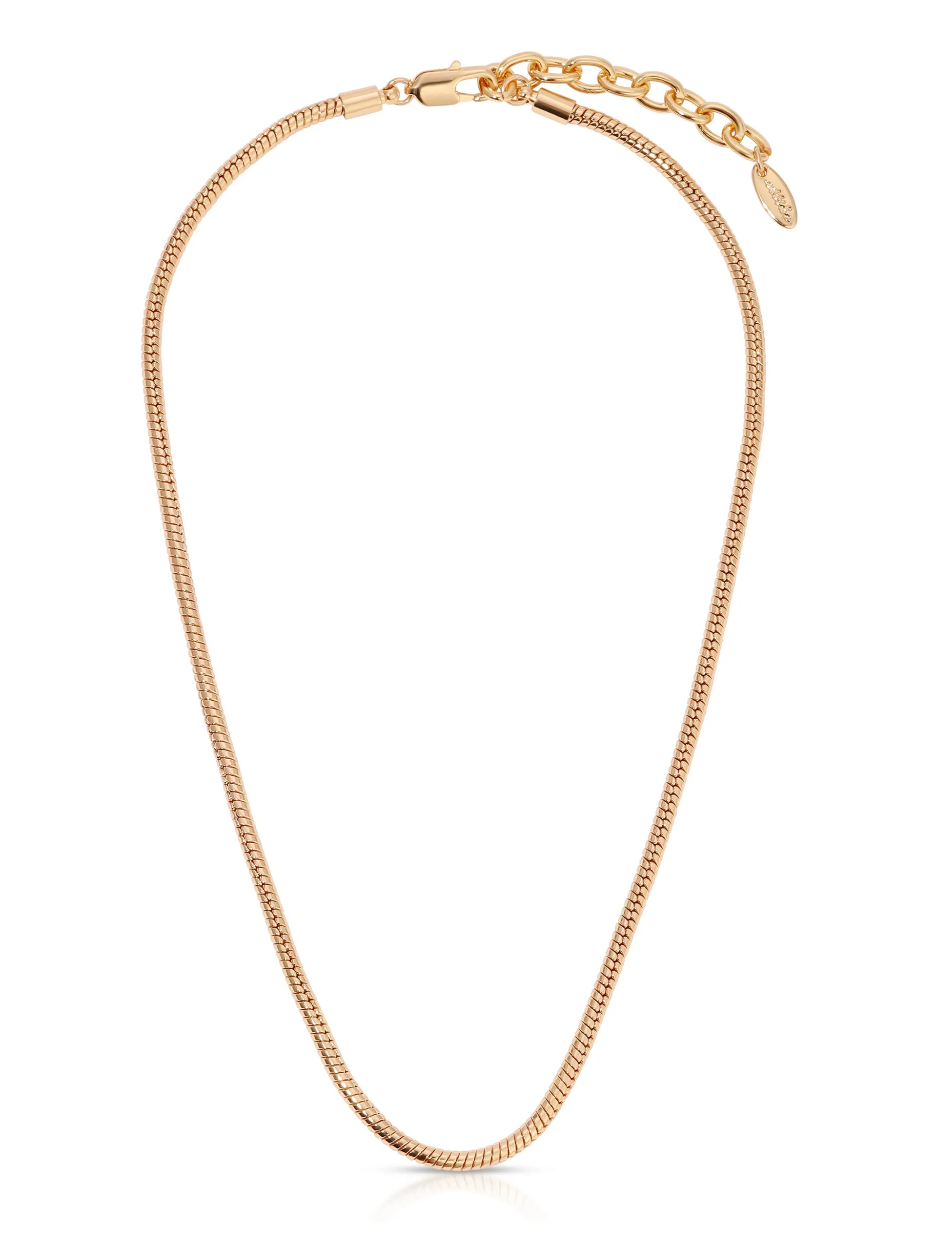 Classic Snake Chain Necklace