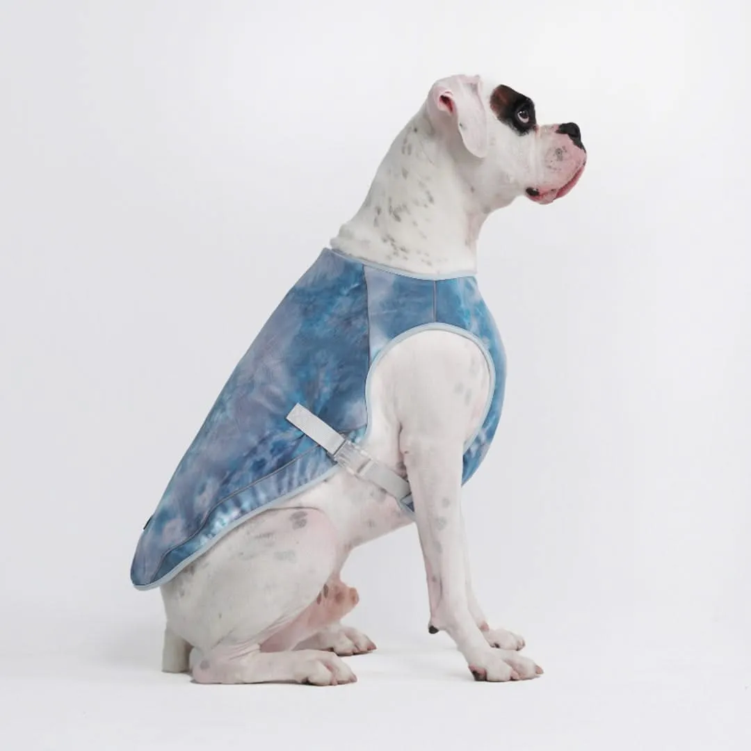 Dog Cooling Vest - Ice Blue