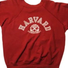 VINTAGE CHAMPION HARVARD SWEATSHIRT 1970s SIZE LARGE MADE IN USA